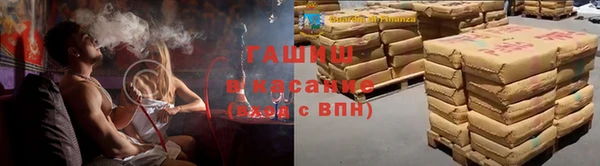 шишки Костерёво