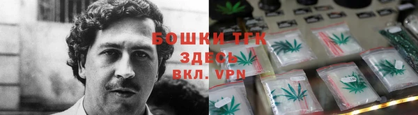 хмурый Корсаков