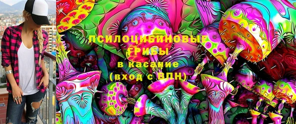 хмурый Корсаков