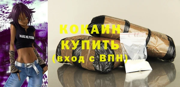 шишки Костерёво