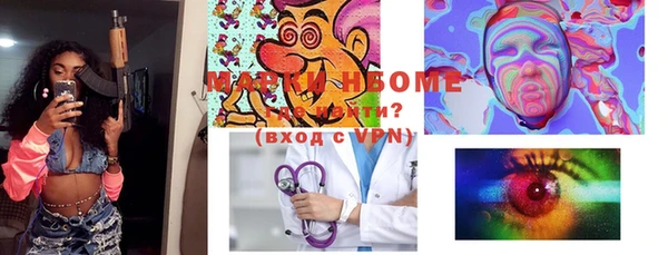 хмурый Корсаков