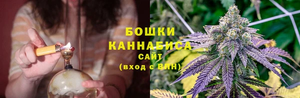 шишки Костерёво