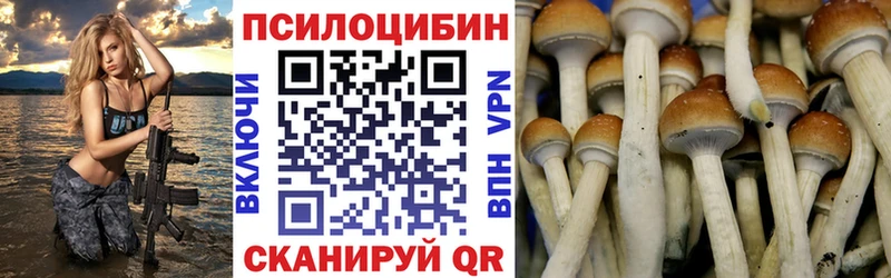 Купить закладки  Выкса  Галлюциногенные грибы GOLDEN TEACHER 
